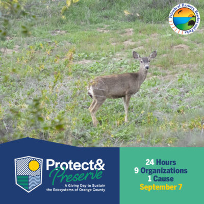 The Protect and Preserve logo along a banner of blue and on the right the banner is green with details of the day. Above it is a photo of a deer on a grassy area with the FHBP logo in the upper right.