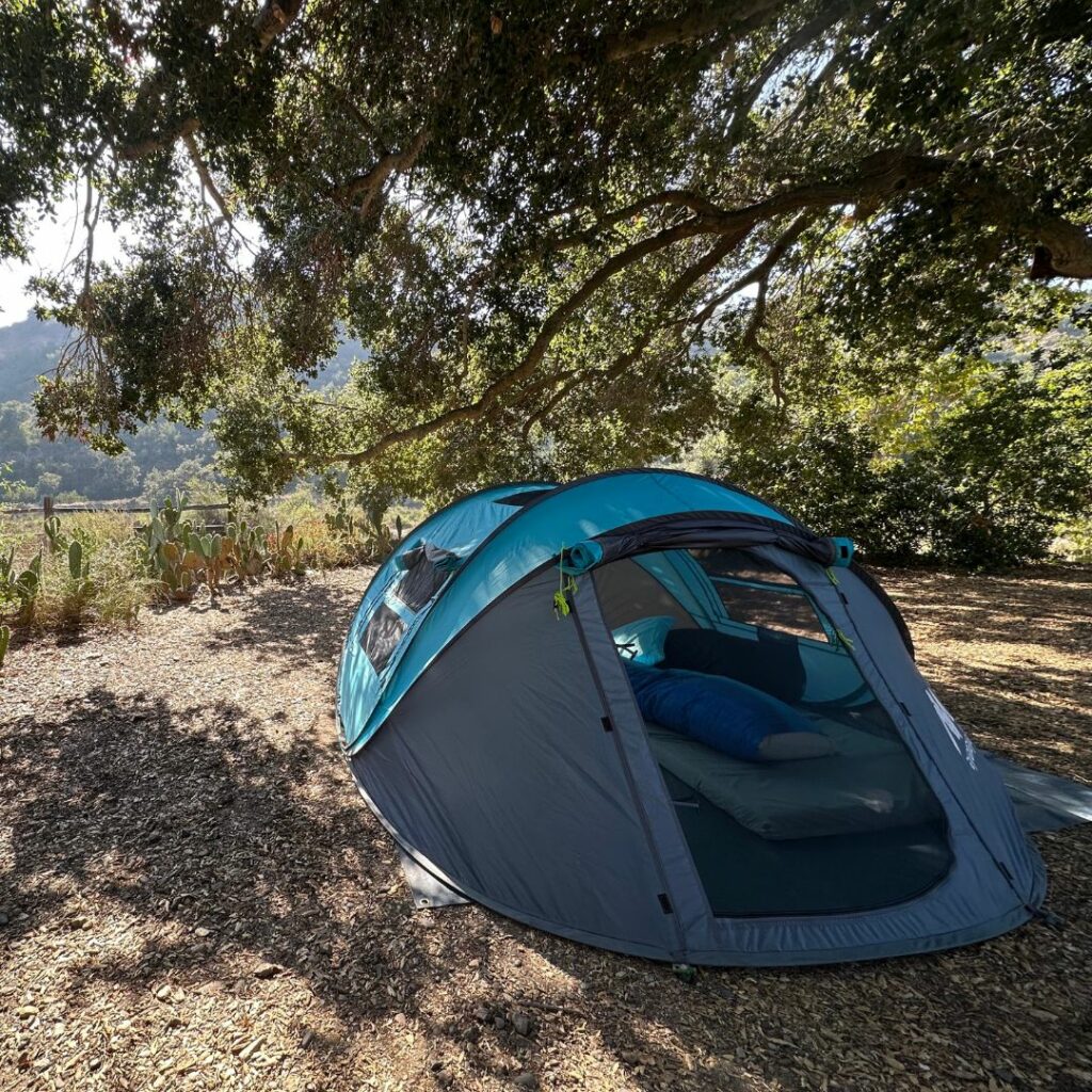 A blue and grey tent nestled underneath a sprawling oak tree looking out over a valley.